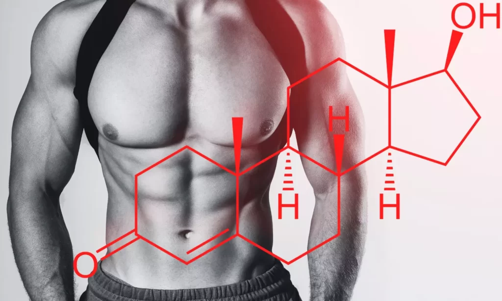 testosterone in the body
